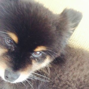 Meet your Posher, Christine